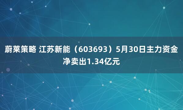蔚莱策略 江苏新能（603693）5月30日主力资金净卖出1.34亿元