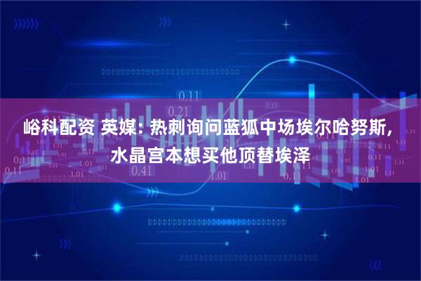 峪科配资 英媒: 热刺询问蓝狐中场埃尔哈努斯, 水晶宫本想买他顶替埃泽