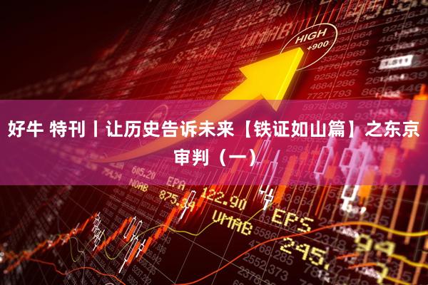 好牛 特刊丨让历史告诉未来【铁证如山篇】之东京审判（一）