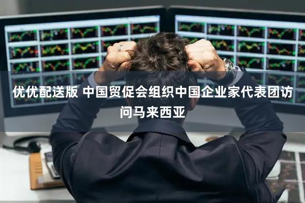 优优配送版 中国贸促会组织中国企业家代表团访问马来西亚