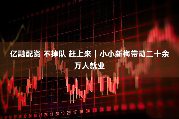 亿融配资 不掉队 赶上来｜小小新梅带动二十余万人就业